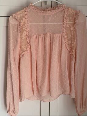 Zara Soft Pink Swiss Dot Ruffled Blouse